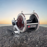 PENN Special Senator Star Drag Conventional Reel